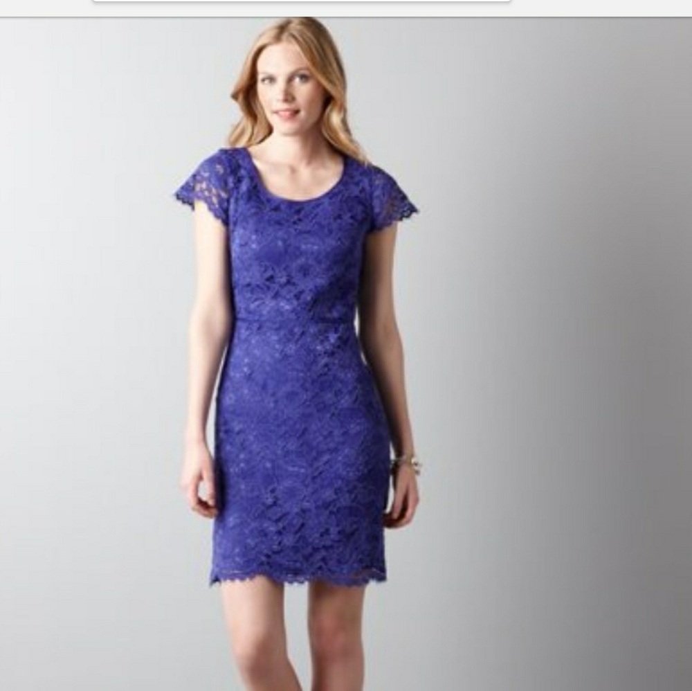 Loft purple dress